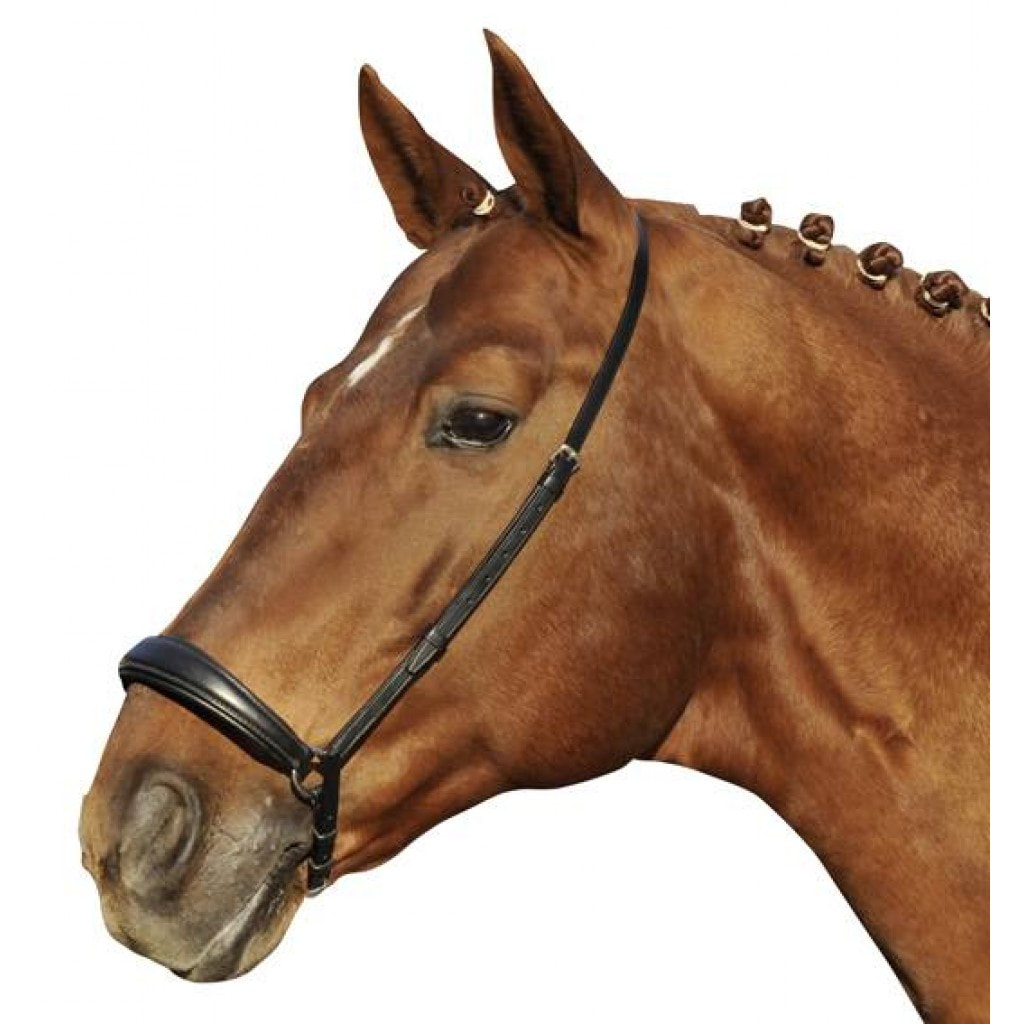 HKM Padded Comfort Drop Noseband German Leather All Sizes FREE DELIVERY 