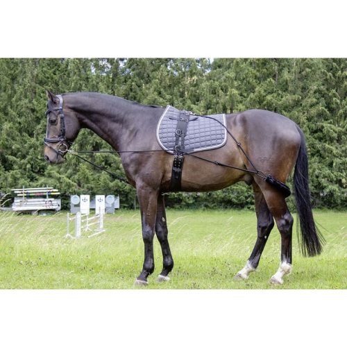HKM Lunging Training Aid