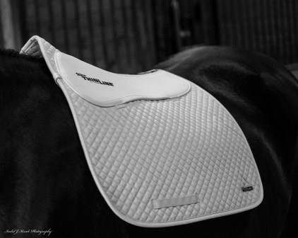 ThinLine Quilted Dressage Saddle Pad