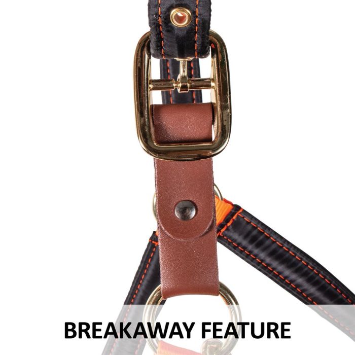 Replacement Leather Tab for Breakaway Halters